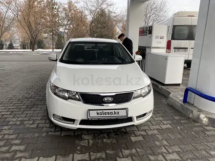 Kia Cerato 2012 года за 5 500 000 тг. в Алматы – фото 2