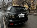 Nissan Patrol 2010 года за 12 100 000 тг. в Алматы – фото 12