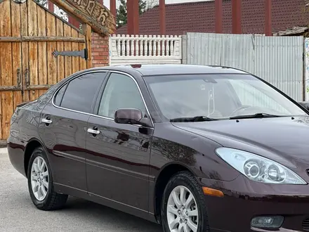 Lexus ES 300 2003 года за 5 900 000 тг. в Тараз – фото 2