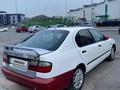 Nissan Primera 1997 годаүшін800 000 тг. в Шымкент – фото 3