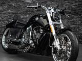 Harley-Davidson  V-ROD BATYR MOTO 2012 года за 8 800 000 тг. в Алматы