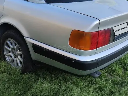 Audi 100 1992 года за 1 850 000 тг. в Шымкент