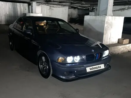 BMW 525 2001 года за 4 300 000 тг. в Шымкент – фото 4