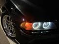 BMW 525 2002 года за 4 900 000 тг. в Алматы – фото 18