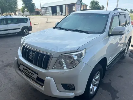 Toyota Land Cruiser Prado 2013 года за 15 800 000 тг. в Шымкент – фото 14