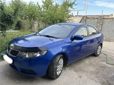 Kia Cerato 2012 года за 4 700 000 тг. в Алматы – фото 2