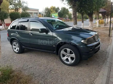 BMW X5 2005 года за 8 500 000 тг. в Жанатас – фото 10