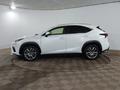 Lexus NX 200 2019 года за 10 690 000 тг. в Шымкент – фото 8