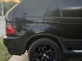 BMW X5 2003 годаүшін5 200 000 тг. в Шымкент – фото 11
