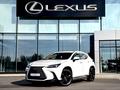 Lexus NX 250 2022 года за 24 500 000 тг. в Тараз