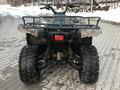 Yamaha  Grizzly 700 2007 года за 3 500 000 тг. в Алматы – фото 6