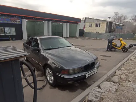 BMW 525 1997 года за 2 600 000 тг. в Талгар – фото 14
