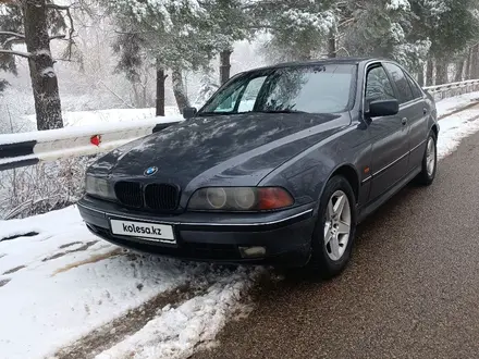 BMW 525 1997 года за 2 600 000 тг. в Талгар – фото 4