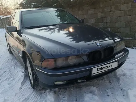 BMW 525 1997 года за 2 600 000 тг. в Талгар – фото 8