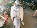 Honda  Scoopy I 2010 годаүшін120 000 тг. в Алматы