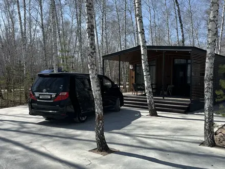 Toyota Alphard 2010 года за 8 500 000 тг. в Астана – фото 4
