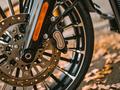 Harley-Davidson  Breakout 117 2024 года за 20 000 000 тг. в Алматы – фото 16
