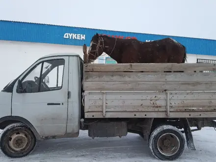 ГАЗ ГАЗель 1999 года за 1 700 000 тг. в Атбасар