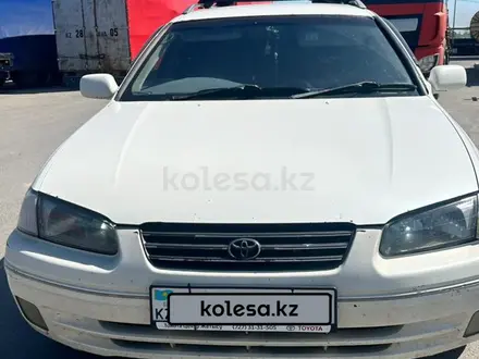 Toyota Camry Gracia 1997 года за 2 850 000 тг. в Алматы – фото 5
