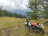 Honda  XR 250 2000 годаүшін2 000 000 тг. в Риддер