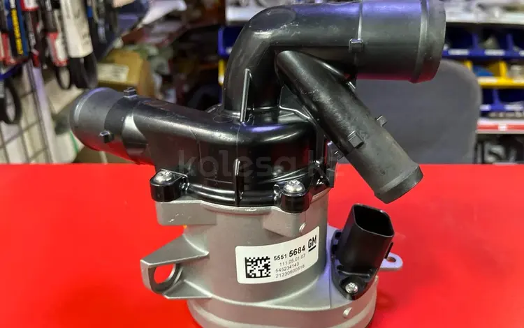 Водяной насос Malibu за 130 000 тг. в Астана