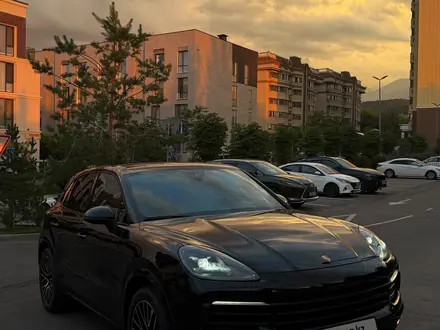 Porsche Cayenne, 2019
