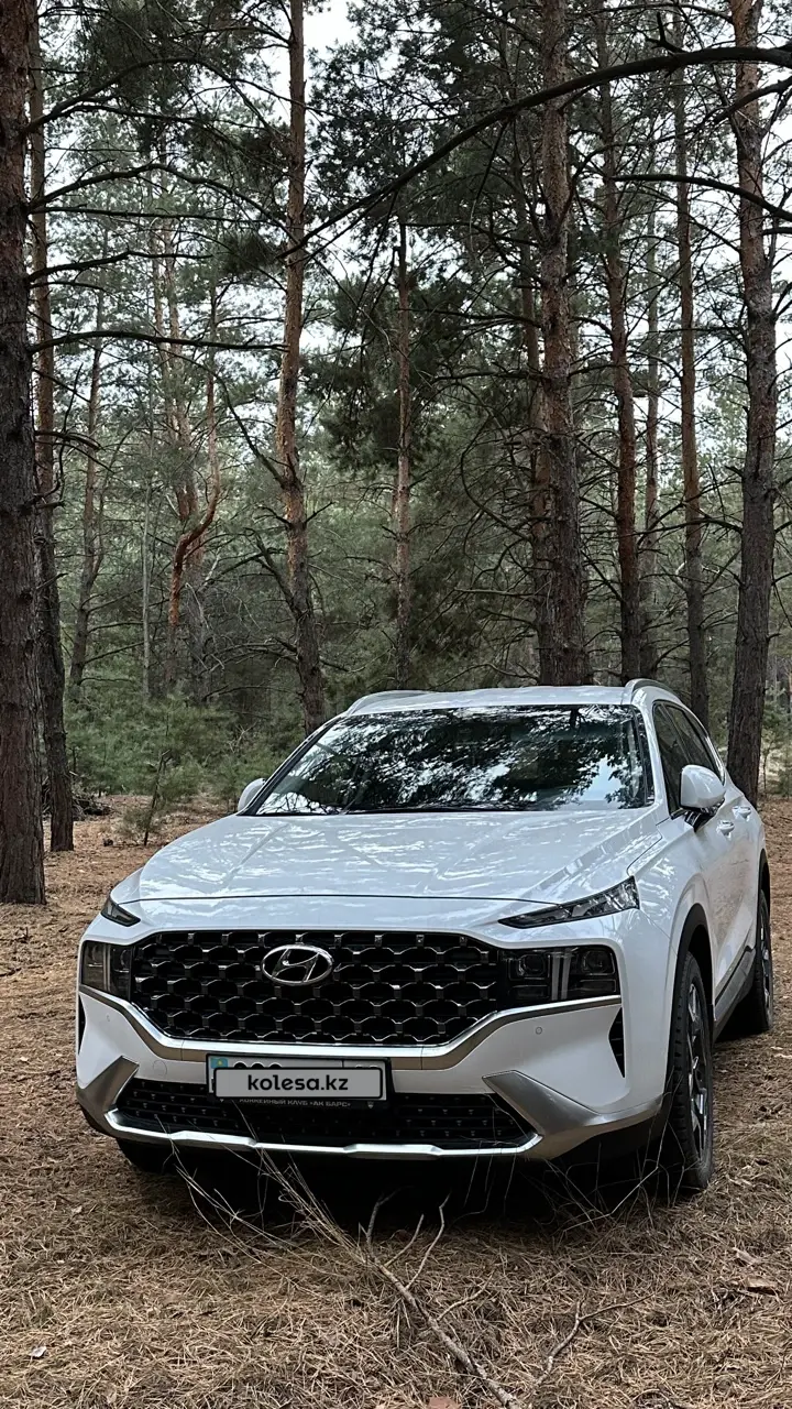 Hyundai Santa FE, 2021