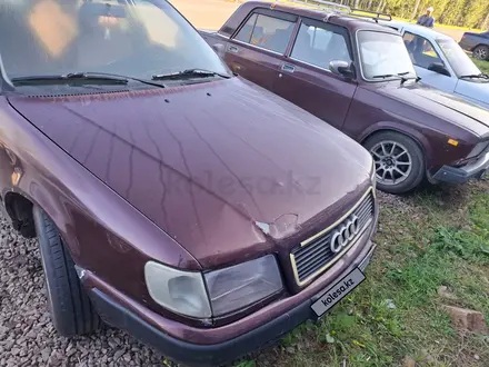 Audi 100 1992 года за 700 000 тг. в Петропавловск