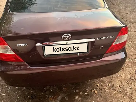 Toyota Camry 2001 года за 5 000 000 тг. в Караганда – фото 7