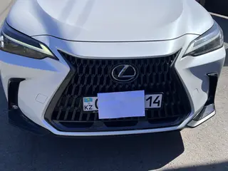Lexus NX 250