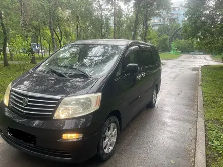 Toyota Alphard 2003 года за 6 800 000 тг. в Алматы – фото 3