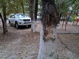 Toyota Land Cruiser Prado 2011 года за 14 039 481 тг. в Тараз