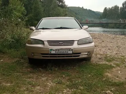 Toyota Camry 1999 года за 3 550 000 тг. в Усть-Каменогорск