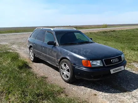 Audi 100 1993 года за 1 800 000 тг. в Павлодар