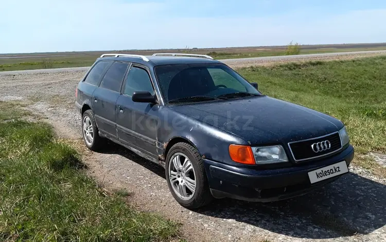 Audi 100 1993 года за 1 800 000 тг. в Павлодар
