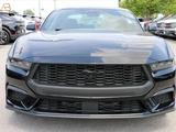Ford Mustang 2025 года за 17 506 000 тг. в Алматы – фото 2