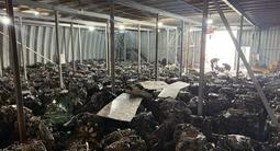 Двигатель на TD27 VG30 VG33 VQ20 VQ23 VQ 25 VQ30 за 270 000 тг. в Астана