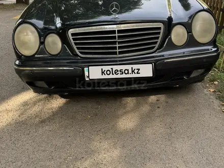 Mercedes-Benz E 240 2000 года за 3 500 000 тг. в Алматы – фото 2