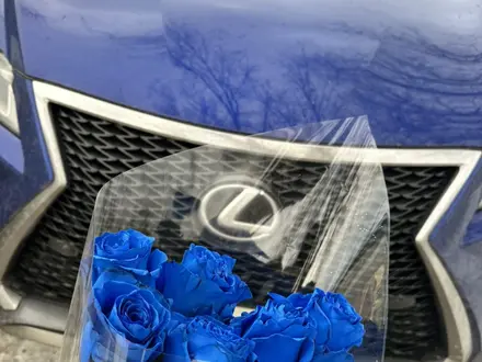 Lexus RX 200t 2017 года за 17 500 000 тг. в Астана – фото 37