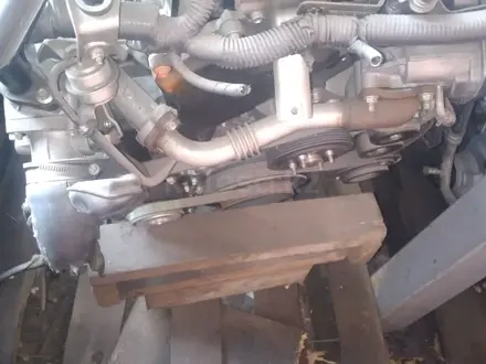 Двигатель VQ40 YD25 АКПП КПП DE VQ40DE 4.0 DDTI YD25DDTI 2.5 механика за 1 200 000 тг. в Алматы – фото 18