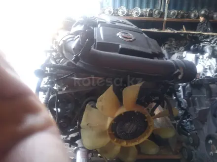 Двигатель VQ40 YD25 АКПП КПП DE VQ40DE 4.0 DDTI YD25DDTI 2.5 механика за 1 200 000 тг. в Алматы – фото 5