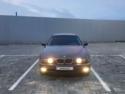 BMW 523 1997 года за 3 600 000 тг. в Кокшетау – фото 11