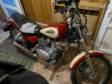 Yamaha  XV250 Virago (V-Star) 2005 года за 2 000 000 тг. в Караганда – фото 12