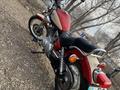 Yamaha  XV250 Virago (V-Star) 2005 года за 2 000 000 тг. в Караганда – фото 11