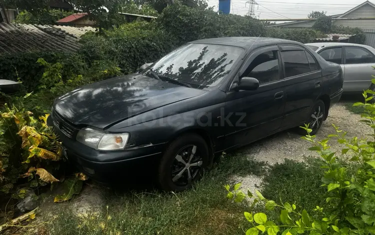 Toyota Carina E 1996 года за 1 660 000 тг. в Алматы