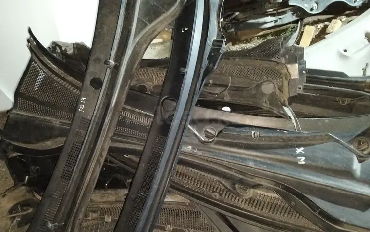 Жабо за 65 000 тг. в Алматы