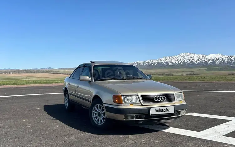 Audi 100 1991 годаүшін2 000 000 тг. в Талдыкорган