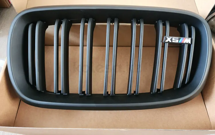 Ноздри решетки на капот решетки радиатора BMW X5 f15 за 25 000 тг. в Алматы