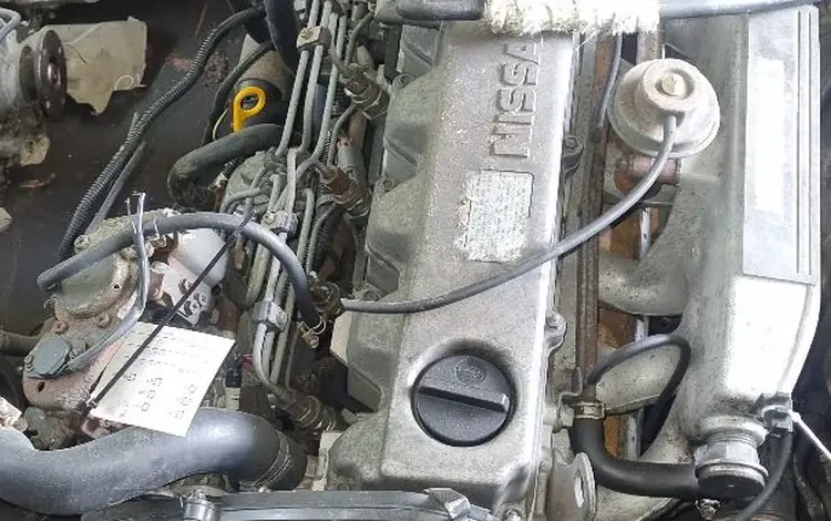 Двигатель RD28, ZD30, VK56 объем 2.8, 3.0, 5.6 л Nissan Patrol за 20 000 тг. в Алматы
