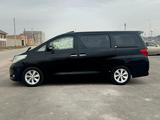 Toyota Alphard 2010 года за 10 000 000 тг. в Тараз – фото 3